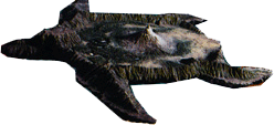 ANIMARIUM